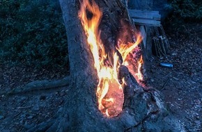 Feuerwehr Essen: FW-E: Baumstumpf brennt im Waldstück in Essen-Kupferdreh - Feuerwehr muss Baum fällen