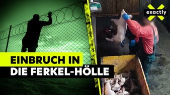 MDR Mitteldeutscher Rundfunk: MDR-Reihe „exactly“ zum Thema: „Lebendig im Müll – so grausam werden Ferkel getötet“