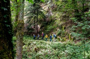 Tourismus Marketing GmbH Baden-W&uuml;rttemberg: Ein Wald voller Geschichten