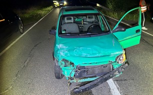 Polizeidirektion Landau: POL-PDLD: Betrunken Unfall verursacht