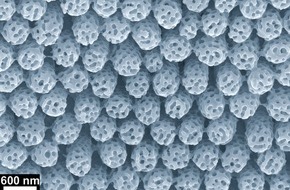 Universität Osnabrück: Für Nanostamping: Uni Osnabrück erhält EU-Patent