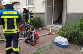 Feuerwehr Hattingen: FW-EN: Gemeldeter Wohnungsbrand - Feuerwehr rettet Katze-