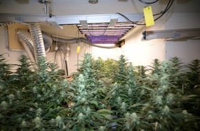 Polizeidirektion Bad Segeberg: POL-SE: Quickborn - Polizei beschlagnahmt Beweismittel und Cannabispflanzen