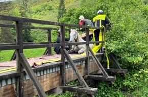 Polizeidirektion Trier: POL-PDTR: Verunglücktes Pferd im Wadrilltal