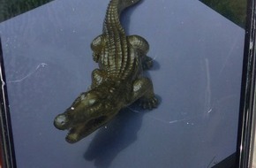Kreispolizeibehörde Oberbergischer Kreis: POL-GM: 240121-0045: Goldenes Krokodil gestohlen