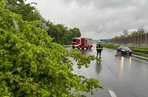 Freiwillige Feuerwehr der Stadt Lohmar: FW-Lohmar: Mehrere wetterbedingte Einsätze nach starken Windböen