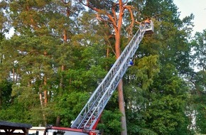 Freiwillige Feuerwehr Celle: FW Celle: Weiterhin hohes Einsatzaufkommen für die Freiwillige Feuerwehr Celle - Insgesamt 13 Einsätze am Donnerstag und Freitag!