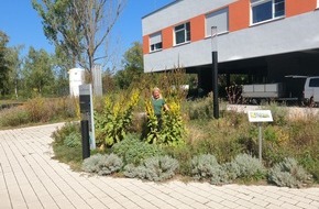 Dr. Becker Klinikgesellschaft: Naturnahe Außenanlagen in der Dr. Becker Kiliani-Klinik