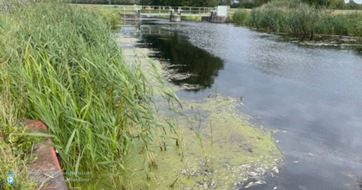 Landeswasserschutzpolizeiamt Mecklenburg-Vorpommern: LWSPA M-V: Gewässerverunreinigung und tote Fische auf der Zarow - Wasserschutzpolizei ermittelt