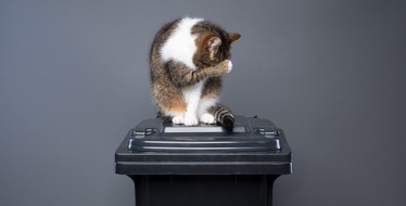 Cats for Future - Initiative der PLA Europe: Umfrage: Mehrheit der Deutschen für Wechsel zu pflanzlicher Katzenstreu / Votum für mehr Klimaschutz - Forderung an Politik und Kommunen