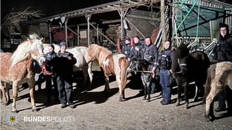 Bundespolizeidirektion München: Bundespolizeidirektion München: Bundespolizei auf "Pferdejagd" / Hubschrauber lokalisiert entlaufene Pferde