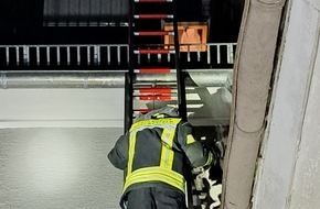 Freiwillige Feuerwehr Breckerfeld: FW-EN: Tierrettung - Feuerwehr befreit Katze vom Dach