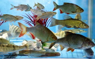 Umfassendes Programm zur 25. Reiten-Jagen-Fischen mit FORST&sup3;