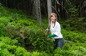 Bergwaldprojekt e.V.: PRESSEMITTEILUNG: Über 30 Ehrenamtliche zwei Wochen im Einsatz für Biotopflächen - das Bergwaldprojekt e.V. in Fichtelberg