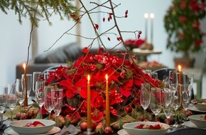 Stars for Europe GbR: Ein Fest für die Sinne: Blühende Tischdekorationen mit Weihnachtssternen