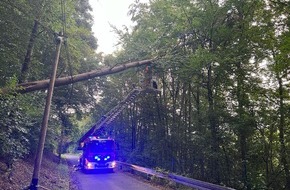 Feuerwehr Sprockhövel: FW-EN: Feuerwehr beseitigt Baum