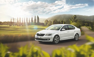 Erfolgsmodell: SKODA Octavia mit neuen Motorisierungen und Getriebeoptionen (FOTO)