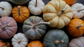 Beko: Die dunkle Jahreszeit versüßen: Ofenfrische Kürbisgerichte mit Beko AeroPerfect(TM)- und AirFry-Technologie