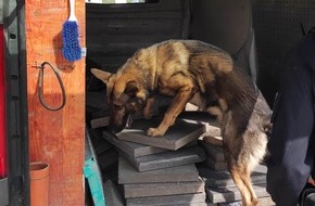 Polizei Duisburg: POL-DU: Wanheimerort: Polizeihund Fritz findet Drogen im Handschuhfach
