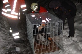 Polizeiinspektion Hameln-Pyrmont/Holzminden: POL-HOL: Wie kommt der Schwan zum Kolibripfad? Feuerwehr fängt hilflosen, abgemagerten Schwan ein  - Nach tierärztlicher Versorgung wieder zum Unteren Teich verbracht -