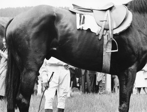 werner erne: die schönheit im gewöhnlichen sehen