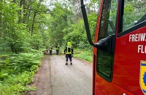 Feuerwehr Flotwedel: FW Flotwedel: Feuerwehren der Samtgemeinde Flotwedel an zwei Tagen bei technischen Hilfeleistungen im Einsatz