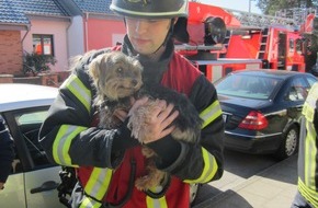 Feuerwehr Mülheim an der Ruhr: FW-MH: Einsatzreicher Vormittag für die Feuerwehr Mülheim an der Ruhr