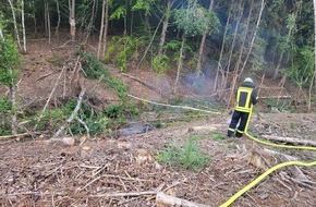 Feuerwehr der Stadt Arnsberg: FW-AR: SIRENENALARM; WALDBRAND IN ARNSBERG-HERDRINGEN