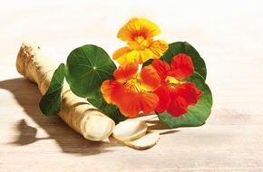 CGC - Cramer-PR im Gesundheitswesen: Mit Arzneipflanzen gegen Viren / Dr. Dr. Erwin Häringer, Hausarzt, München: "Bei saisonalen, viralen Atemwegsinfektionen ist die Therapie mit Phytopharmaka eine Behandlungsoption"