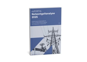 enPORTAL Netzentgeltanalyse 2025 zeigt Kostenveränderungen für Strom und Gas