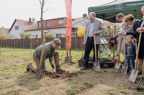 BAUHAUS pflanzt Waldinsel in Mannheim-Sch&ouml;nau