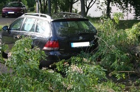 Polizeidirektion Kaiserslautern: POL-PDKL: Umgestürzter Baum begräbt geparktes Fahrzeug unter sich