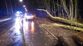 Freiwillige Feuerwehr Werne: FW-WRN: Wenige Sturmeinsätze