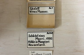 OÖ Landes-Kultur GmbH: Aufarbeitung kolonialer Sammlungsgeschichte: