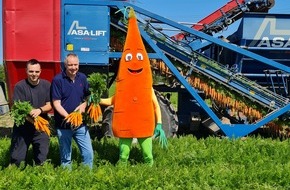 Meine Möhren: Frisch vom Feld: Die Möhrensaison ist eröffnet!