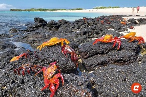 Druckfrisch erschienen: Neuer Fernkatalog 2027/2028 von Eberhardt TRAVEL