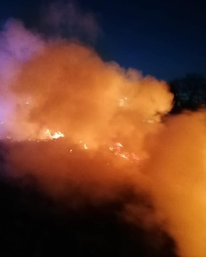 FW Horn-Bad Meinberg: Wiese auf 1000qm abgebrannt - Feuer drohte auf Gewerbekomplex überzugreifen