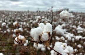 The European Cotton Alliance (ECA): In drei Jahren wurden fast 200 Millionen Europäerinnen und Europäer erreicht: Der Erfolg der EUCOTTON-Kampagne hat den europäischen Baumwollsektor wieder in den Blickpunkt der Öffentlichkeit gerückt