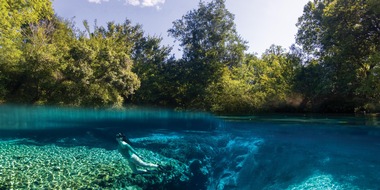 Von smaragdgrünen Quellen bis zu geschützten Küstenlandschaften: Floridas authentische Naturerlebnisse entdecken