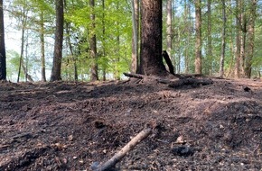 Feuerwehr Dorsten: FW-Dorsten: Waldbrand in den frühen Morgenstunden