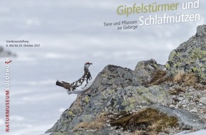 Naturmuseum Solothurn: Medienmitteilung zur Sonderausstellung «Gipfelstürmer und Schlafmützen – Tiere und Pflanzen im Gebirge»
