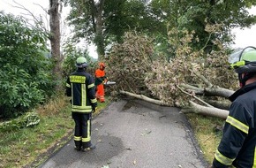 Feuerwehr Schermbeck: FW-Schermbeck: Baum auf Fahrbahn