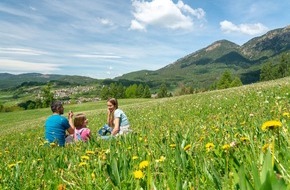 Trentino Marketing S.r.l.: Blühendes Trentino - Die Top 4 Frühlings-Bergwiesen