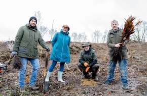 Laverana GmbH: lavera ermöglicht dringend notwendige Aufforstung am Stemmer Berg