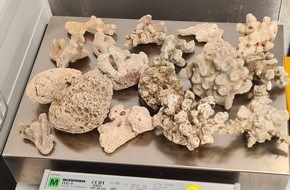 Hauptzollamt Hannover: HZA-H: Zoll Hannover verhindert Goldschmuggel und sichert Artenschutz