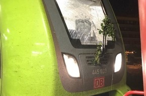 Bundespolizeiinspektion Flensburg: BPOL-FL: Regionalzug fährt in umgestürzten Baum