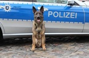 Polizei Hamburg: POL-HH: 190908-2. Diensthund schnappt nach einem Zeugenhinweis in Hamburg-Poppenbüttel zwei mutmaßliche Rollerdiebe