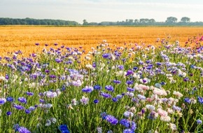 Lidl: Mehr Biodiversität im konventionellen Obst- und Gemüseanbau: Lidl und GLOBALG.A.P. veröffentlichen ersten branchenweiten Biodiversitätsstandard