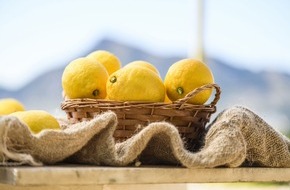 Lemon from Spain: Trois recettes au citron pour épater votre famille et vos amis à Noël