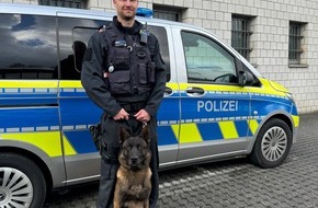 Kreispolizeibehörde Siegen-Wittgenstein: POL-SI: Nach bestandener Prüfung: Diensthund Luc ist offiziell Personenspürhund - #polsiwi